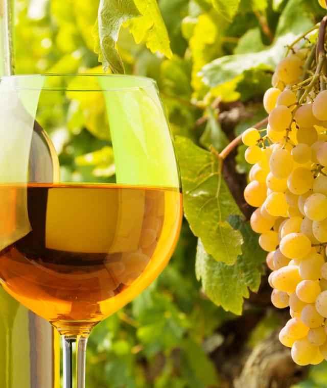 Figs Grille A thoughtful fusion of fine dining continental mediterranean cuisine